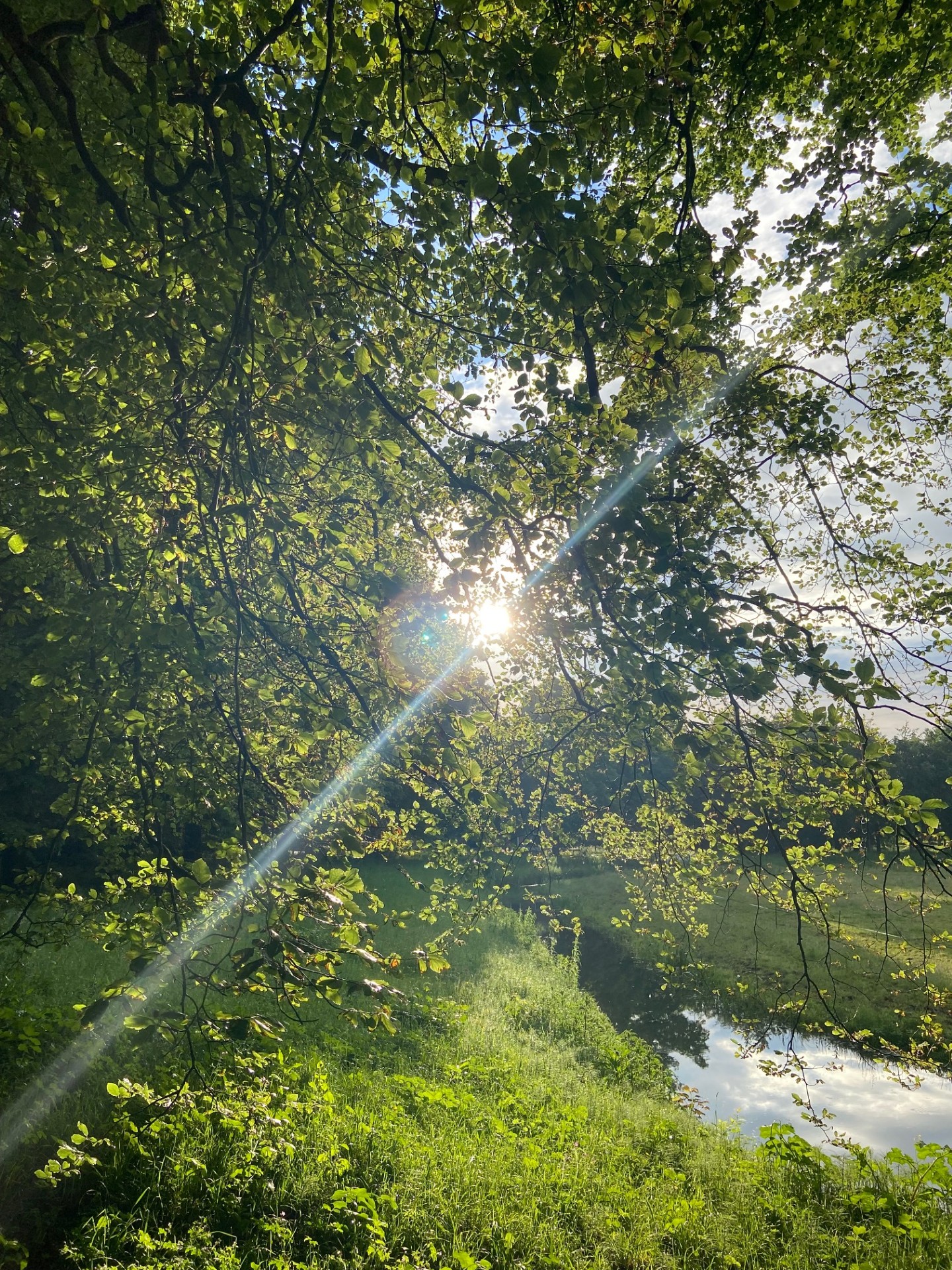 Intake gesprek in natuurlijke omgeving